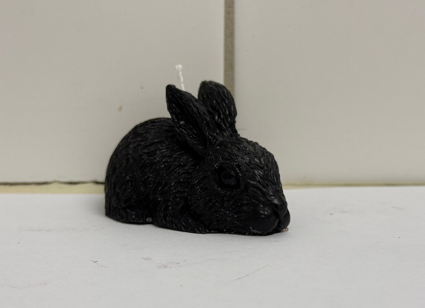 Hase