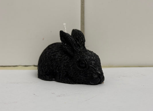 Hase