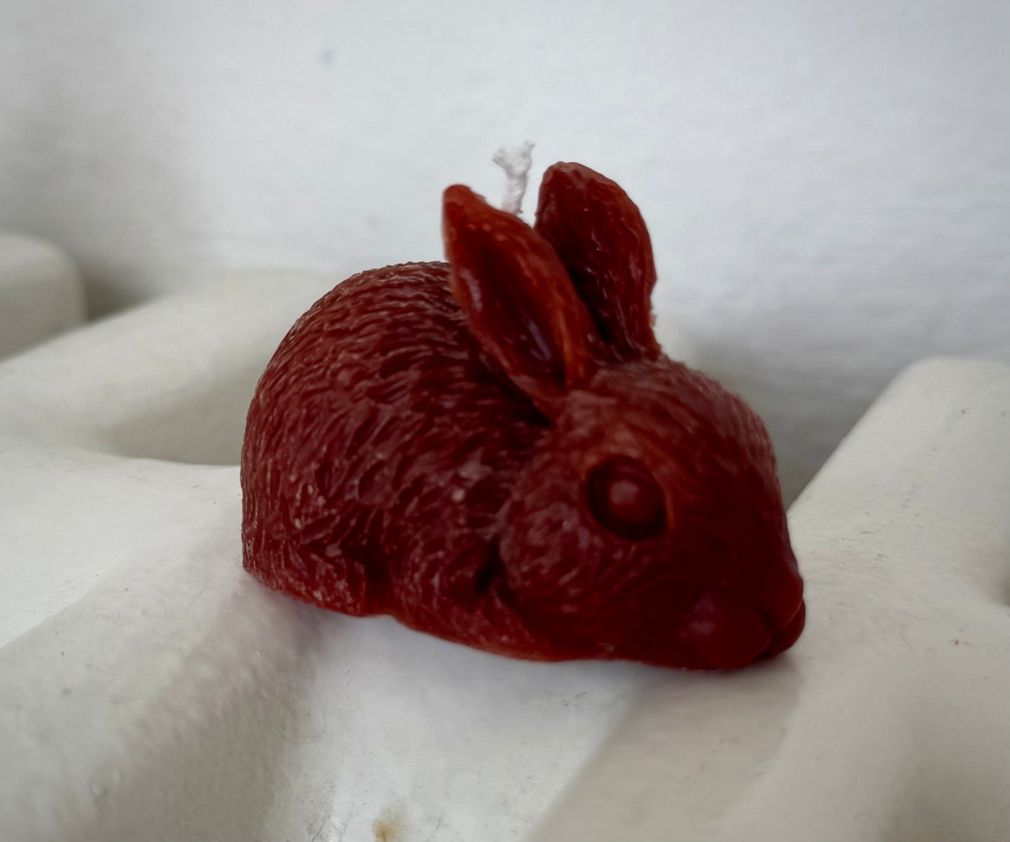 Hase
