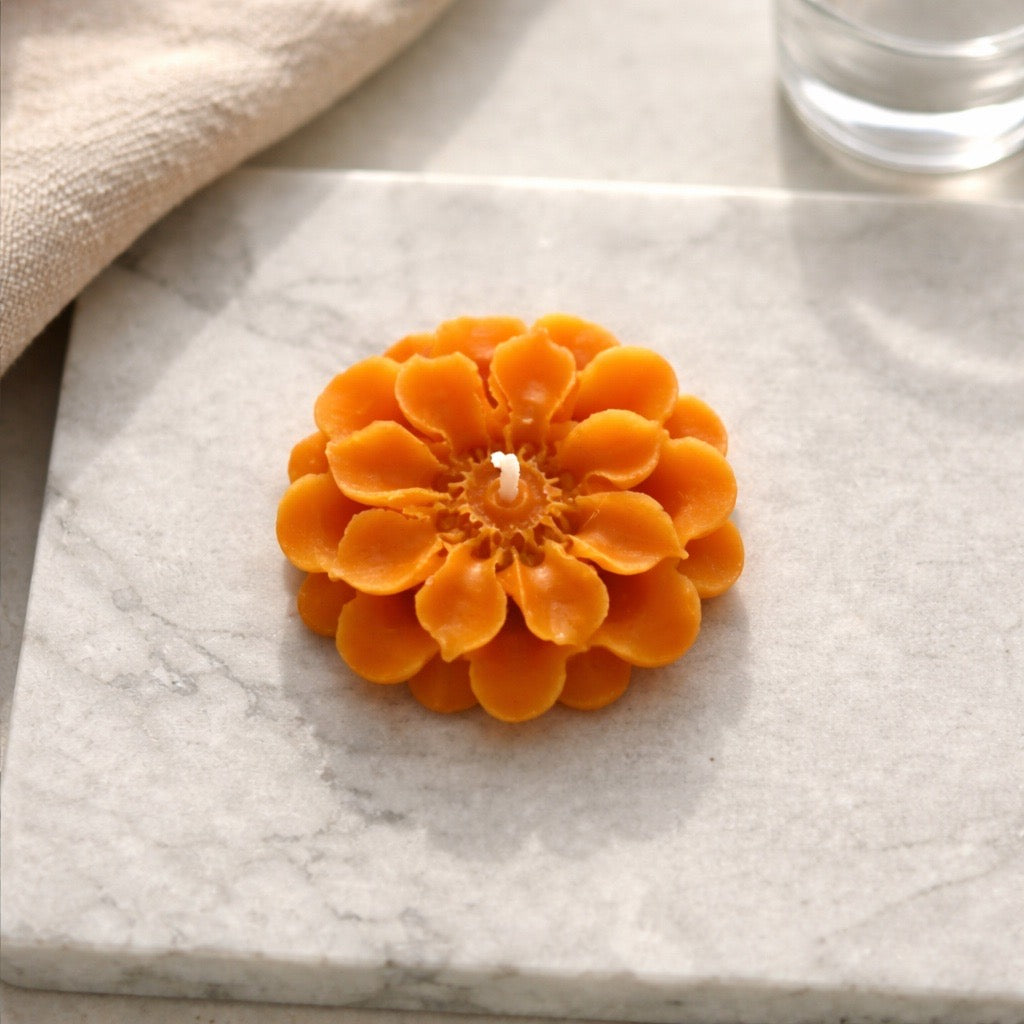 Veloria Bloom