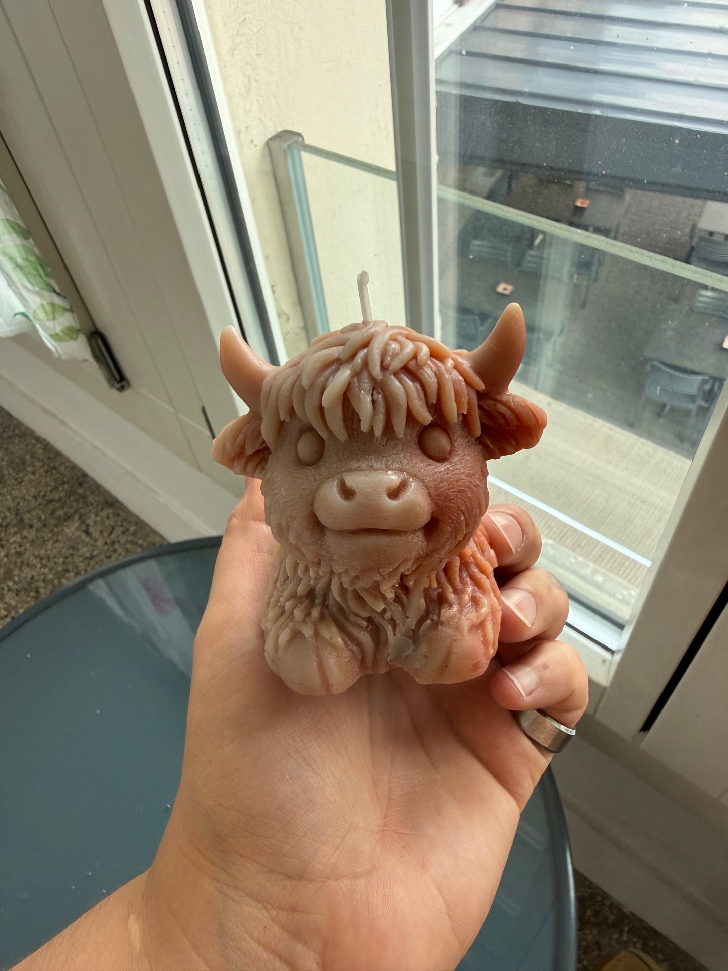 Highland Cow B-Ware